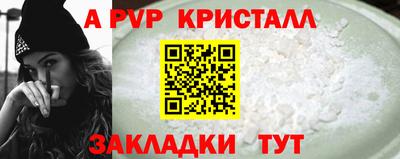 стаф Новокубанск