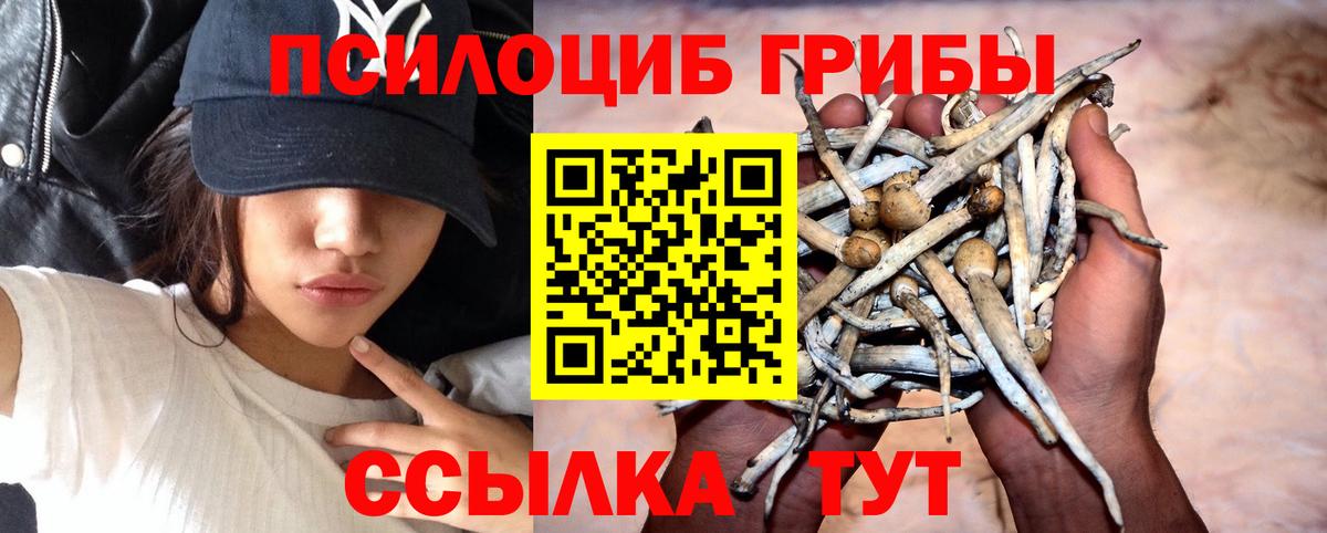 Славгород  Галлюциногенные грибы мицелий  Галлюциногенные грибы мицелий  Вход с VPN 